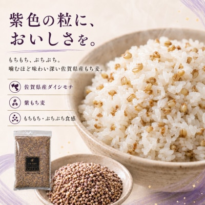 ダイシモチ4kg『もち麦』(1kg×4袋)(佐賀県)