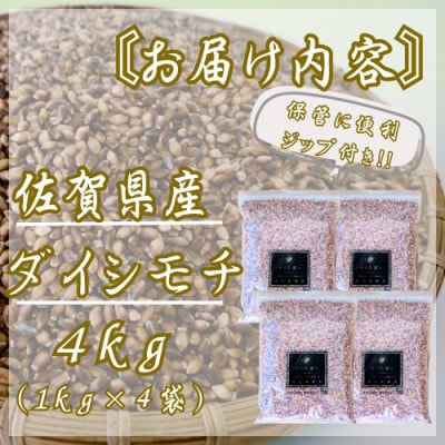 ダイシモチ4kg『もち麦』(1kg×4袋)(佐賀県)