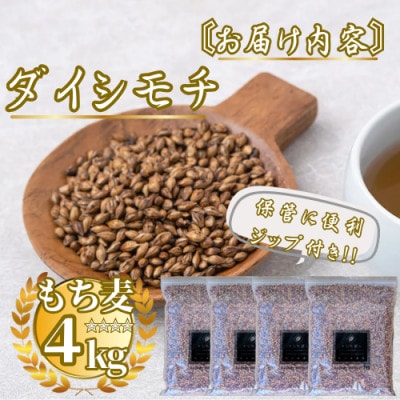 ダイシモチ4kg『もち麦』(1kg×4袋)(佐賀県)