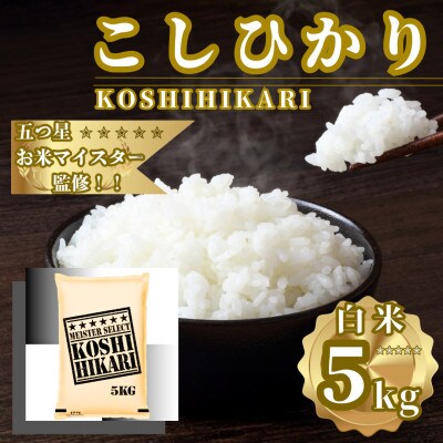 令和7年産こしひかり 白米 5kg　41ANAD035(佐賀県)