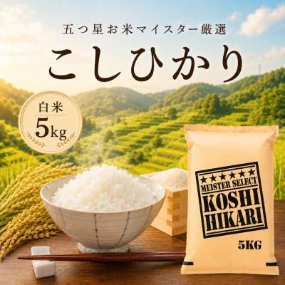 令和7年産【棚田米】こしひかり 白米 5kg　41ANAD035(佐賀県)