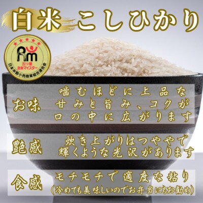 令和7年産こしひかり 白米 5kg　41ANAD035(佐賀県)