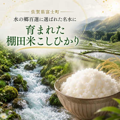 令和7年産【棚田米】こしひかり 白米 5kg　41ANAD035(佐賀県)