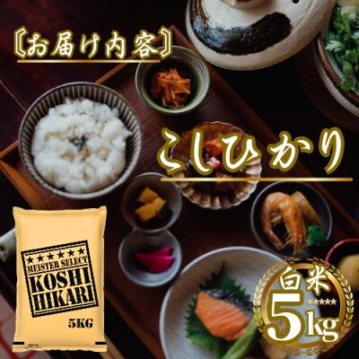 令和7年産こしひかり 白米 5kg　41ANAD035(佐賀県)