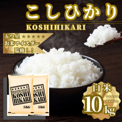 令和7年産こしひかり 白米 10kg(5kg×2袋)　41ANAD038(佐賀県)
