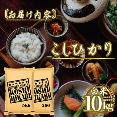 令和7年産こしひかり 白米 10kg(5kg×2袋)　41ANAD038(佐賀県)