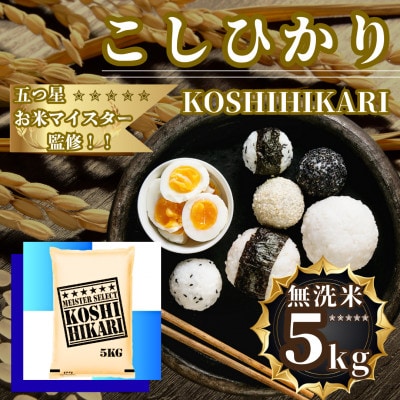 令和7年産こしひかり 無洗米 5kg　41ANAD041(佐賀県)