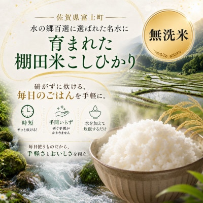 令和7年産【棚田米】こしひかり 無洗米 5kg　41ANAD041(佐賀県)