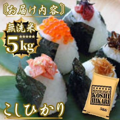 令和7年産こしひかり 無洗米 5kg　41ANAD041(佐賀県)