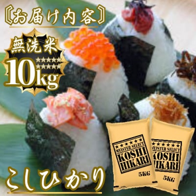 令和7年産こしひかり 無洗米10kg(5kg×2袋)　41ANAD044(佐賀県)