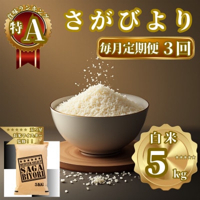 【毎月定期便】さがびより白米5kg(佐賀県)【41ANAD012】全3回
