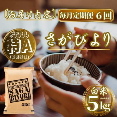 【毎月定期便】さがびより白米5kg(佐賀県)【41ANAD013】全6回