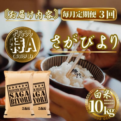 【毎月定期便】さがびより白米10kg(5kg×2袋)(佐賀県)【41ANAD015】全3回