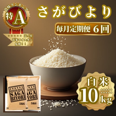 【毎月定期便】さがびより白米10kg(5kg×2袋)(佐賀県)【41ANAD016】全6回