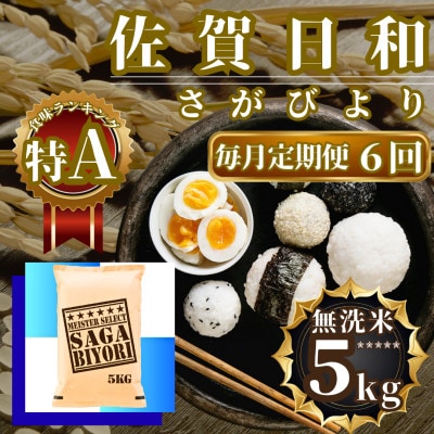 【毎月定期便】【無洗米】さがびより5kg(佐賀県)【41ANAD019】全6回