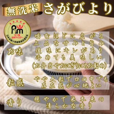 【毎月定期便】【無洗米】さがびより5kg(佐賀県)【41ANAD019】全6回