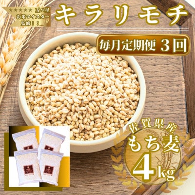 �y��������ցz�L�������`4kg�w�������x(1kg×4��)(���ꌧ)�y41ANAD009�z�S3��