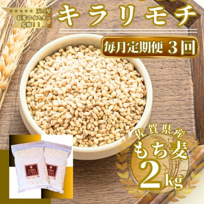 �y��������ցz�L�������`2kg�w�������x(1kg×2��)(���ꌧ)�y41ANAD006�z�S3��