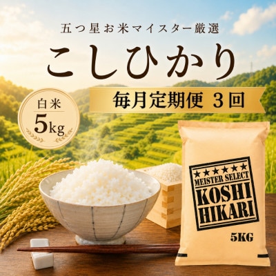 【毎月定期便】こしひかり 白米 5kg　41ANAD036(佐賀県)全3回