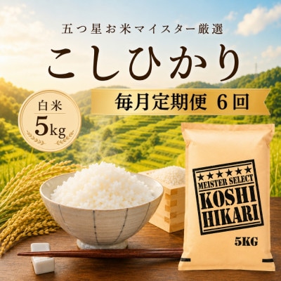【毎月定期便】こしひかり 白米 5kg　41ANAD037(佐賀県)全6回