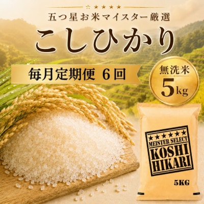 【毎月定期便】こしひかり 無洗米 5kg　41ANAD043(佐賀県)全6回
