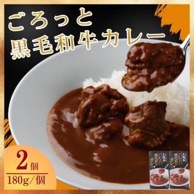 ごろっと黒毛和牛カレー180g×2個セット(佐賀県)[A0161-0004]