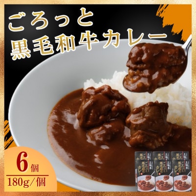 ごろっと黒毛和牛カレー180g×6個セット(佐賀県)[A0161-0006]