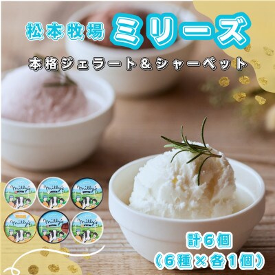 【松本牧場】本格ジェラートミリーズ 6個(佐賀県)