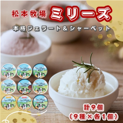 【松本牧場】本格ジェラートミリーズ 9個(佐賀県)