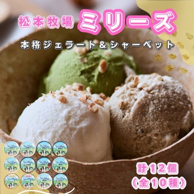 【松本牧場】本格ジェラートミリーズ 12個(佐賀県)