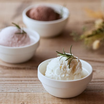 【松本牧場】本格ジェラートファミリーセット 500ml×4個(佐賀県)