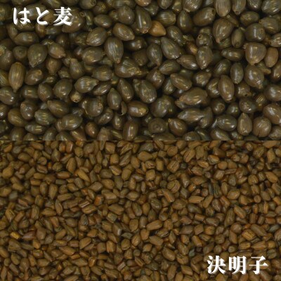 健康はと麦茶 231g(11g×21P)6本セット(合計126パック)[A15703-08](佐賀県