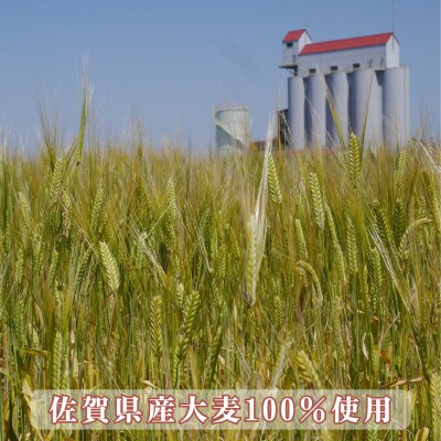 佐賀県産まるつぶ麦茶 300g(20g×15P)8本セット[A15701-08](佐賀県)