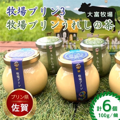 大富牧場『牧場プリン3』&『牧場プリンうれしの茶』セット(佐賀県)[A016202]