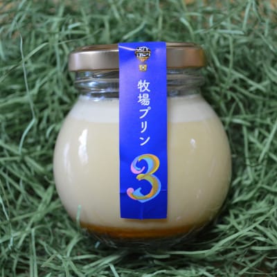 大富牧場『牧場プリン3』&『牧場プリンうれしの茶』セット(佐賀県)[A016202]