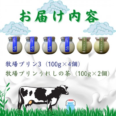 大富牧場『牧場プリン3』&『牧場プリンうれしの茶』セット(佐賀県)[A016202]