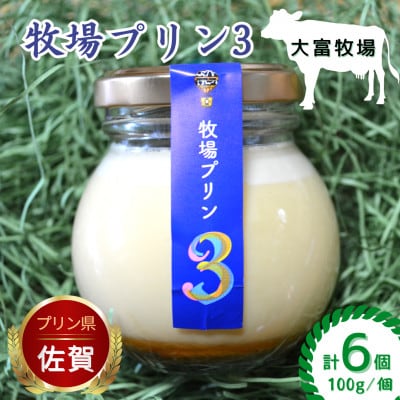 大富牧場『牧場プリン3』6個セット(佐賀県)[A016201]