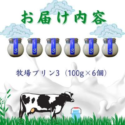 大富牧場『牧場プリン3』6個セット(佐賀県)[A016201]