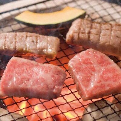 佐賀牛焼肉用600g(200g×3)(佐賀県)【41AOCW012】