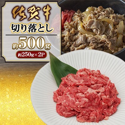 【佐賀牛】切り落とし 計500g(250g×2パック)(佐賀県)【41AOCW009】