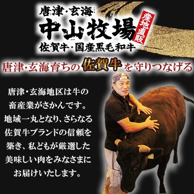 【佐賀牛】切り落とし 計500g(250g×2パック)(佐賀県)【41AOCW009】