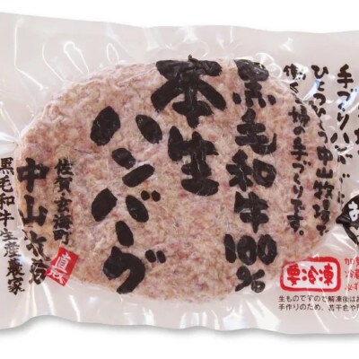 国産黒毛和牛ハンバーグ 120g×5個(佐賀県)【41AOCW004】