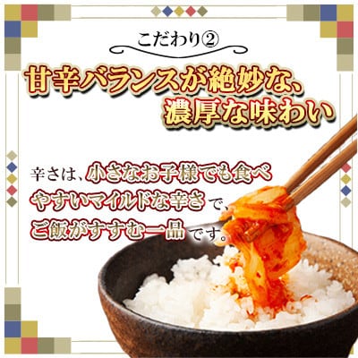 佐賀職人仕込みの極旨キムチ3種セット【41AAAG001】(佐賀県)