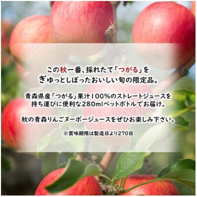 シャイニーアップルジュース　青森のおもてなし　初しぼり　280mlPET