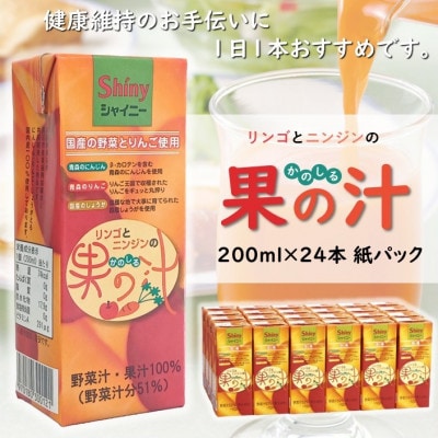 【シャイニー】果の汁【国内原料100%使用】200ml紙パック×24本