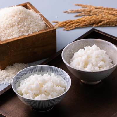 青天の霹靂・まっしぐら　精米　計20kg(各5kg×2袋)