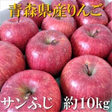 サンふじ 約10kg【津軽みらい農業協同組合の青森県産りんご】