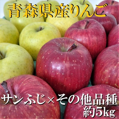 サンふじ×その他品種　約5kg【津軽みらい農業協同組合の青森県産りんご】