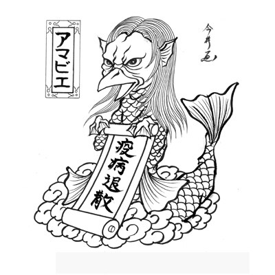 【2020年10月上旬～発送】ふじ好きな方に　早生ふじ　3kg