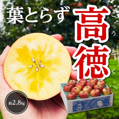 【令和7年11月上旬～発送】今年もお届け。味にこだわる生産者から「葉とらずこうとく」2.8kg